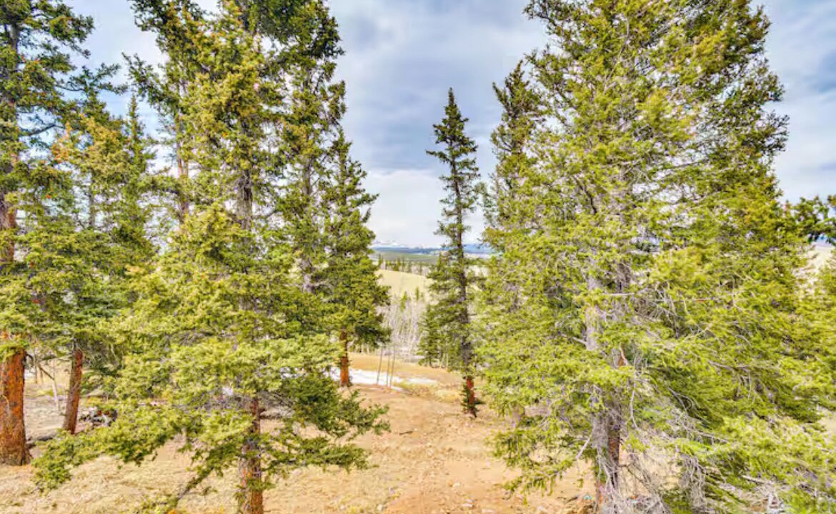 Photo of Others in Warm Springs