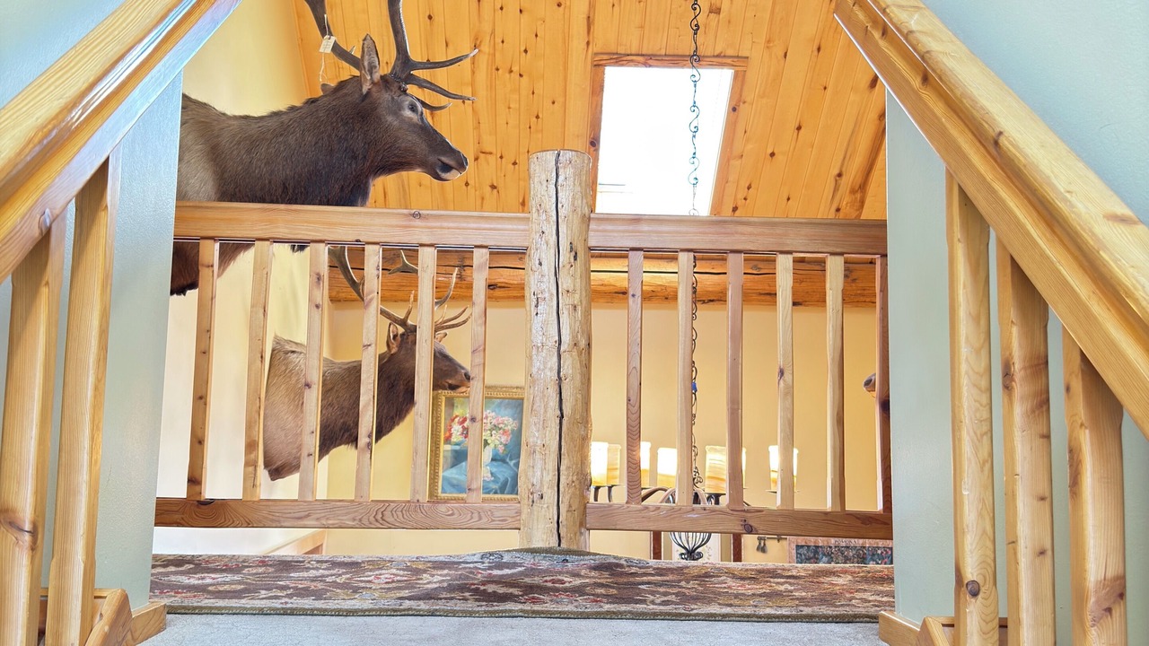 Photo of Others in Gunnison - Crested Butte