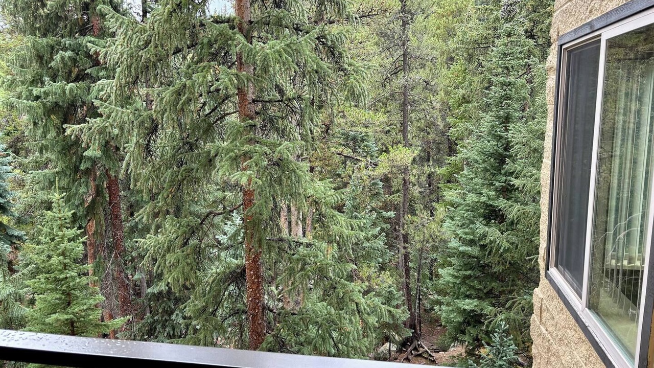 Photo of Others in Peak 9