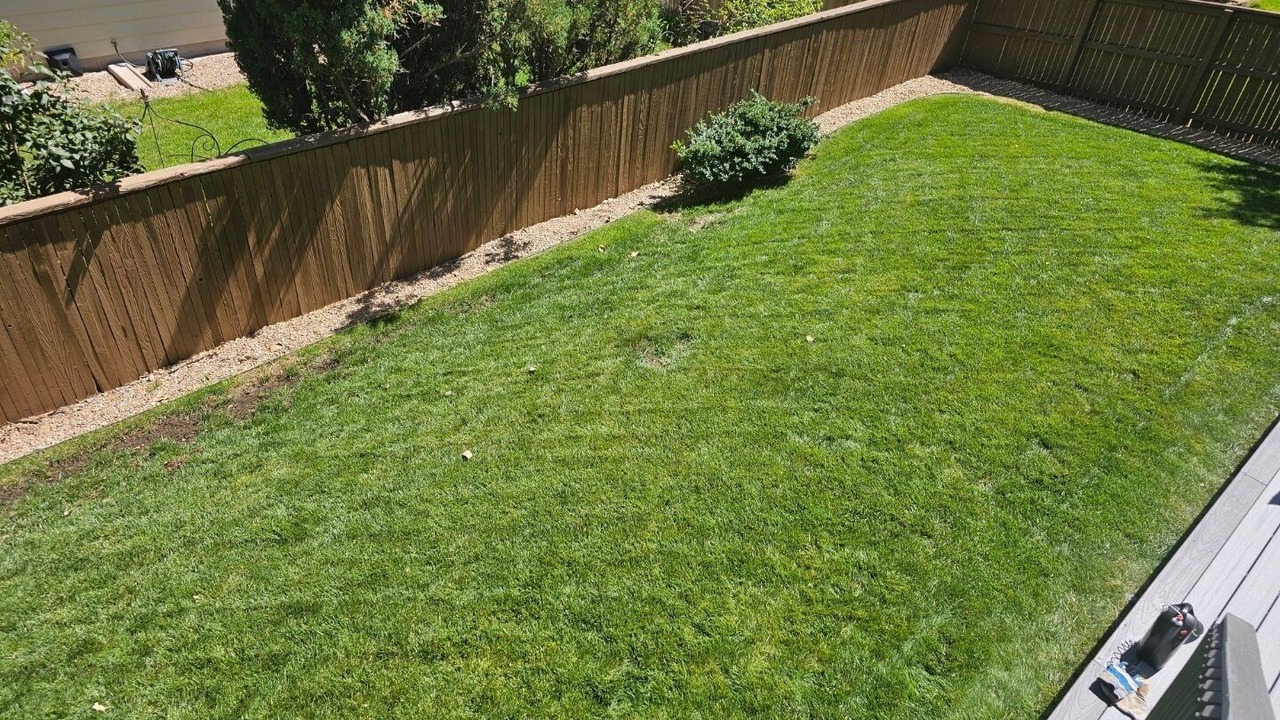 Photo of Others in Highlands Ranch