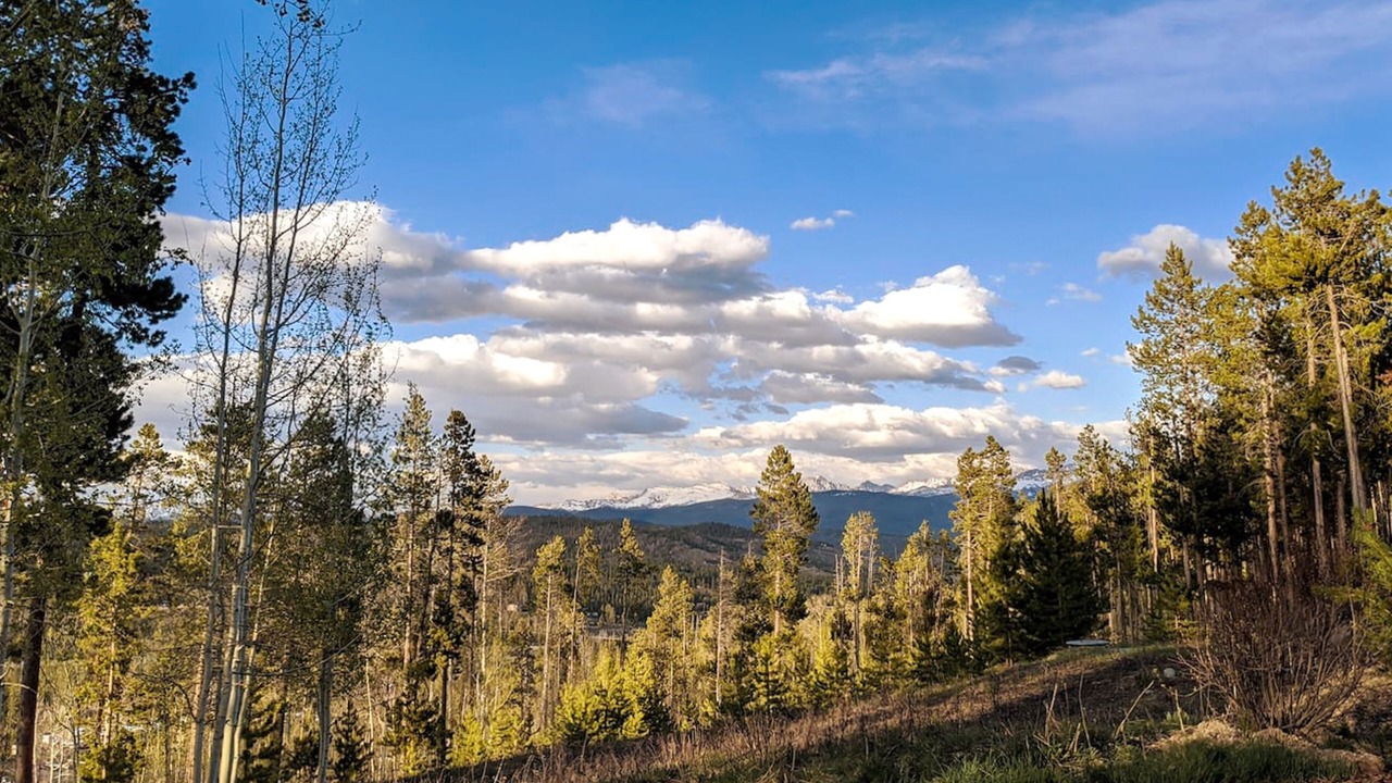 Photo of Others in Winter Park Highlands