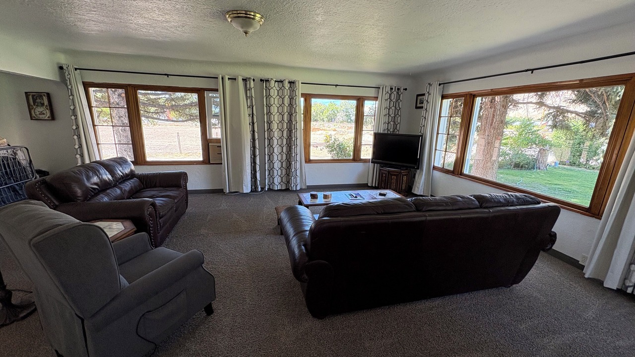 Photo of Livingroom in Palisade