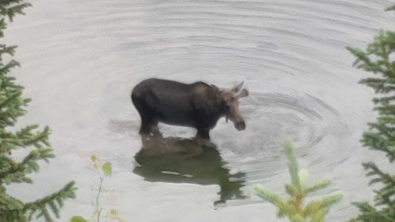 Photo of Others in Lake City
