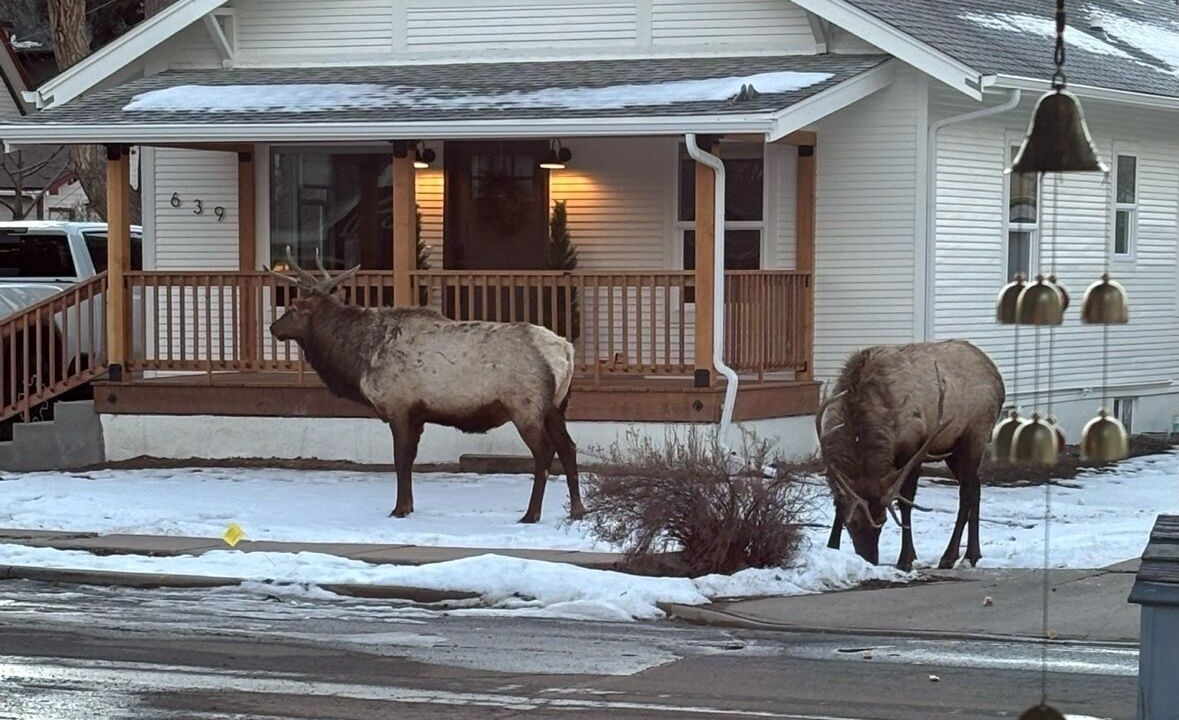 Photo of Outdoor in Loveland