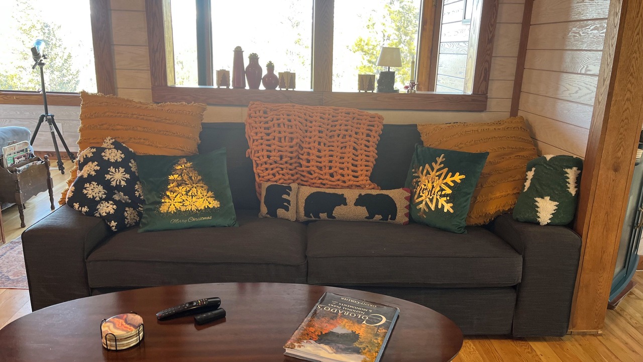 Photo of Livingroom in Coal Creek