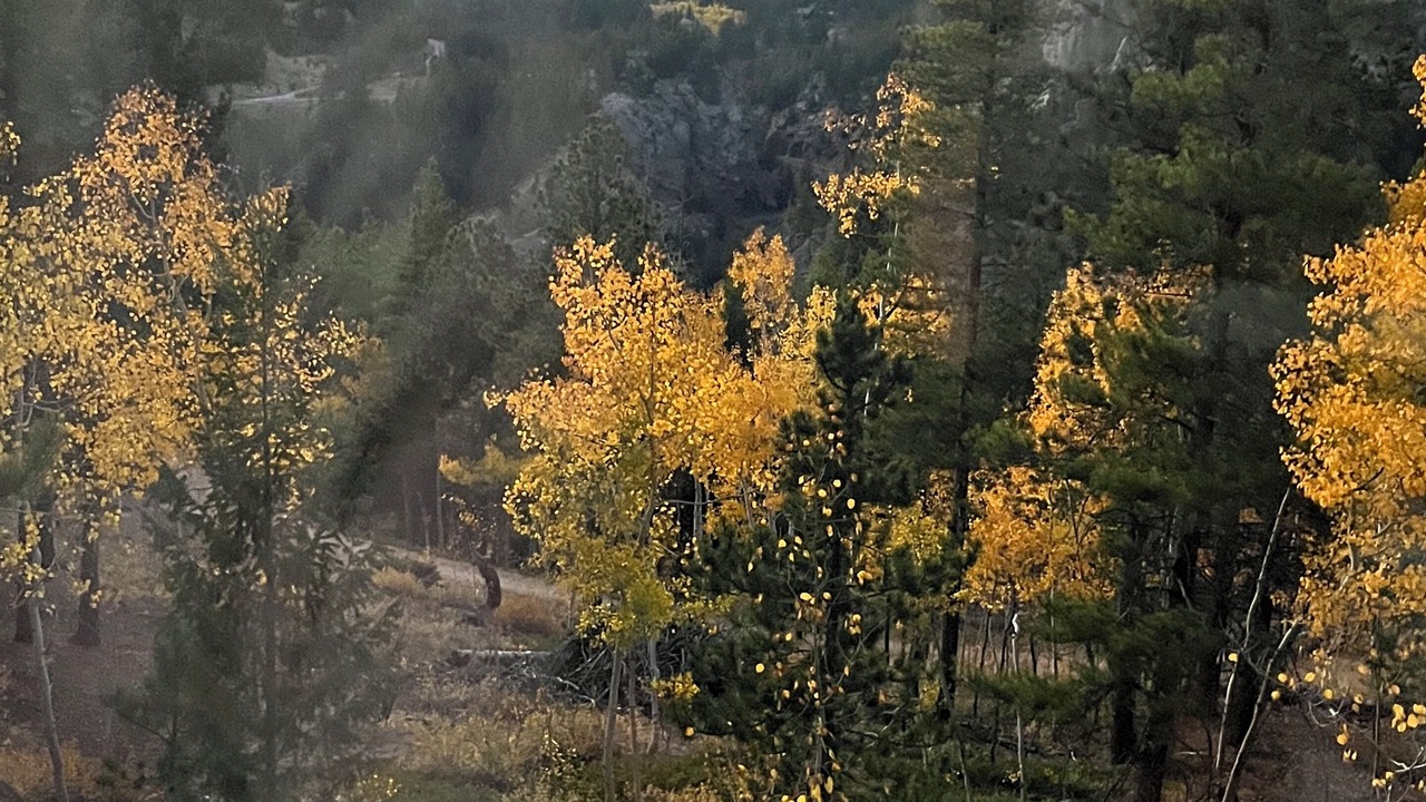 Photo of Others in Coal Creek