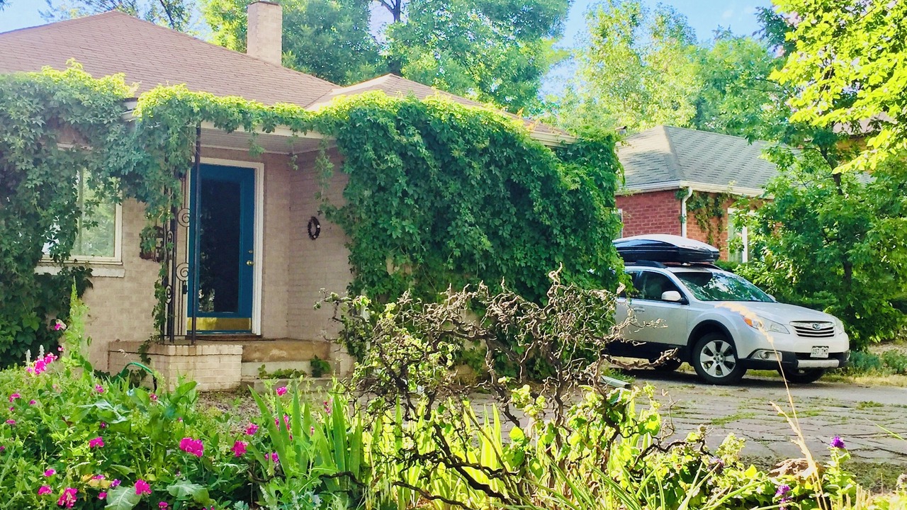 Photo of Outdoor in Newlands