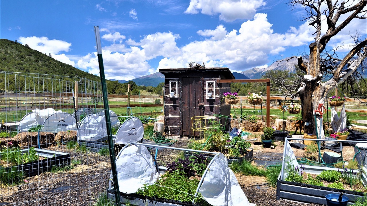 Photo of Outdoor in Salida
