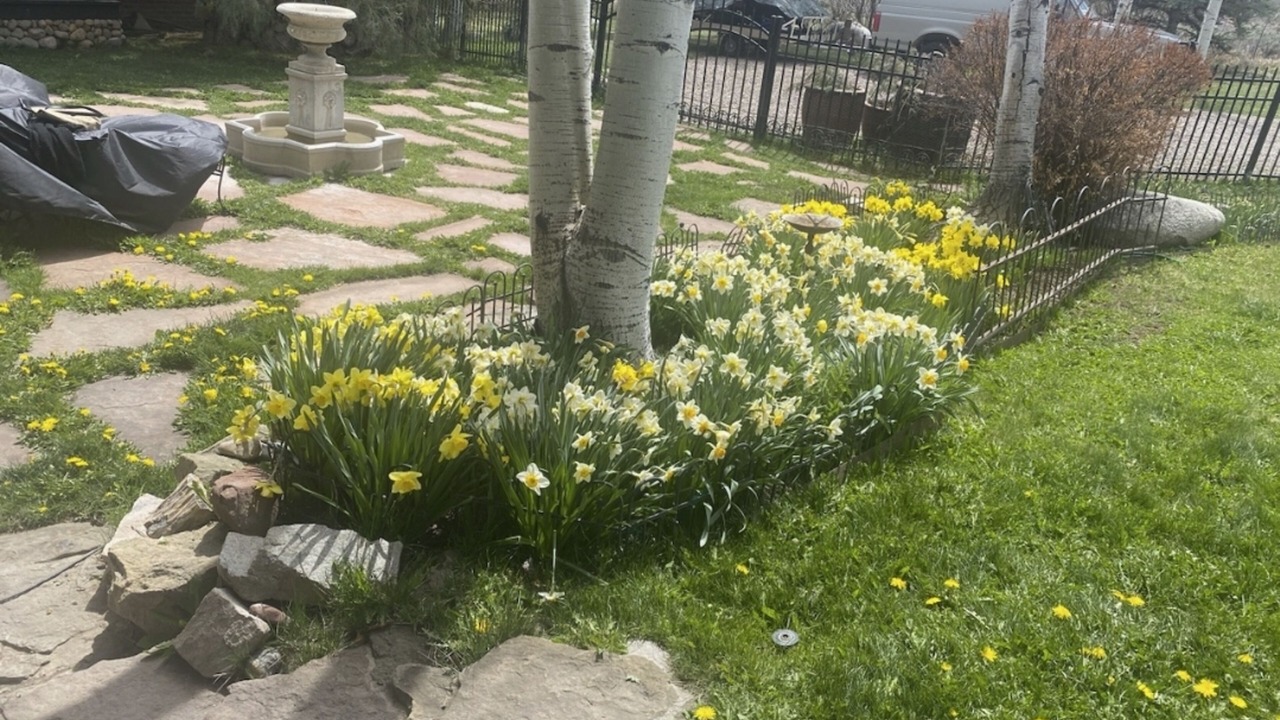 Photo of Outdoor in Woody Creek