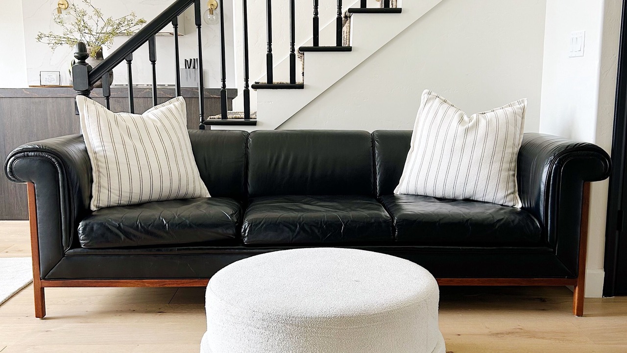 Photo of Livingroom in Montrose