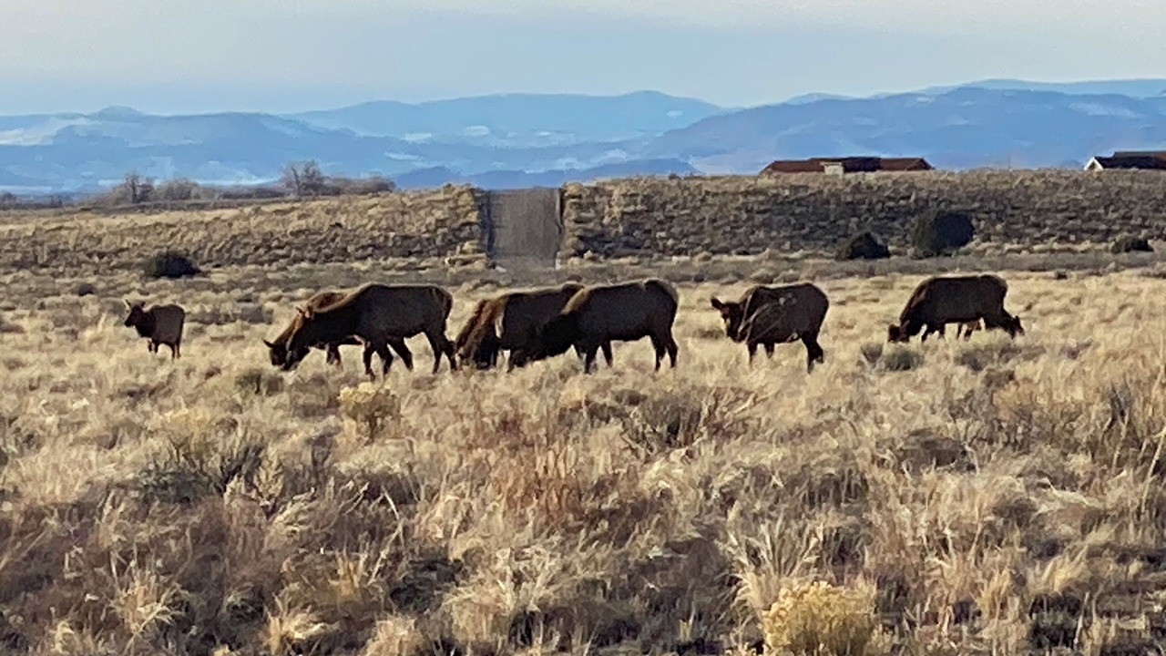 Photo of Others in Crestone