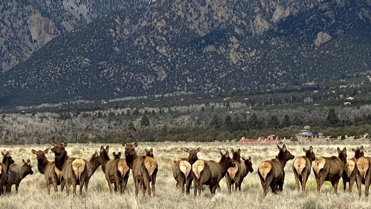 Photo of Others in Crestone