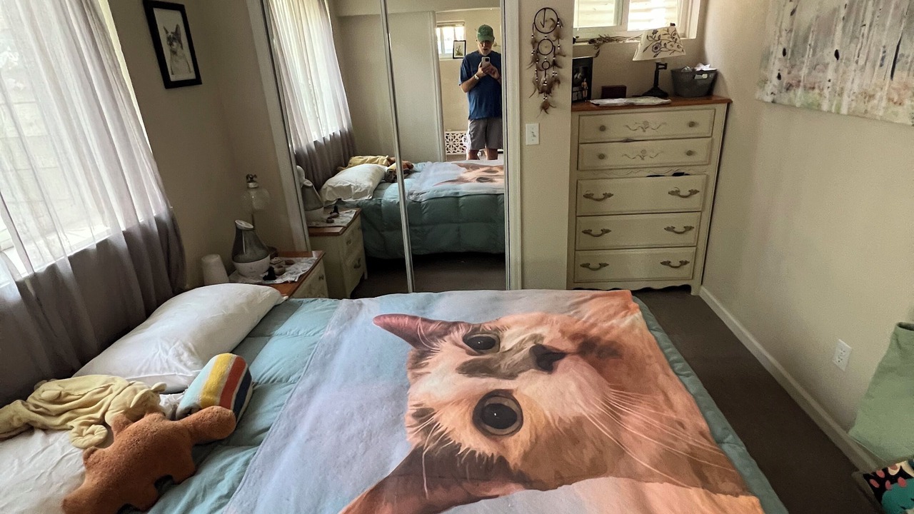 Photo of Bedroom in Highland Park
