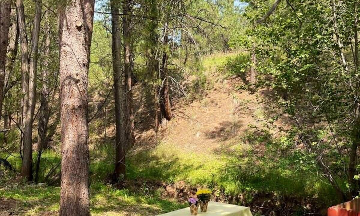 Photo of Outdoor in Cascade-Chipita Park