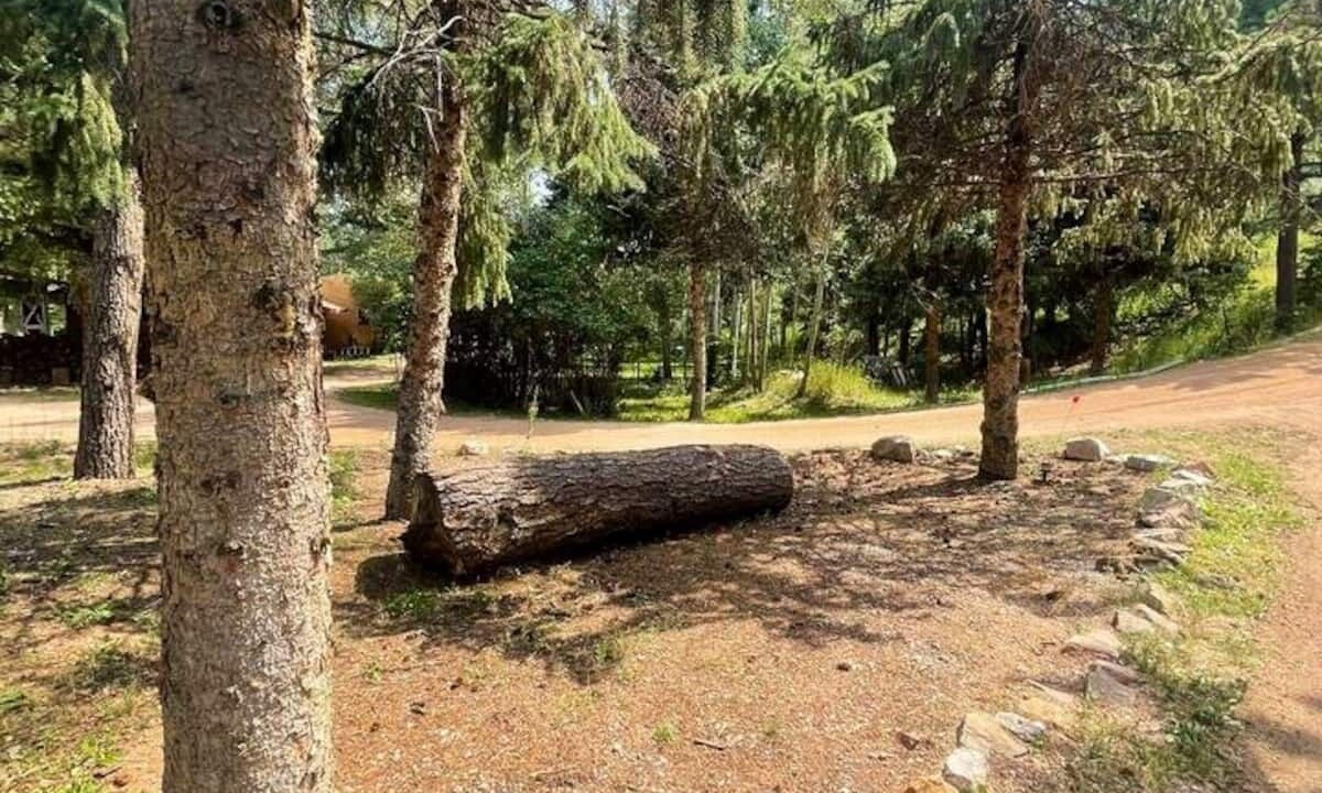 Photo of Outdoor in Cascade-Chipita Park