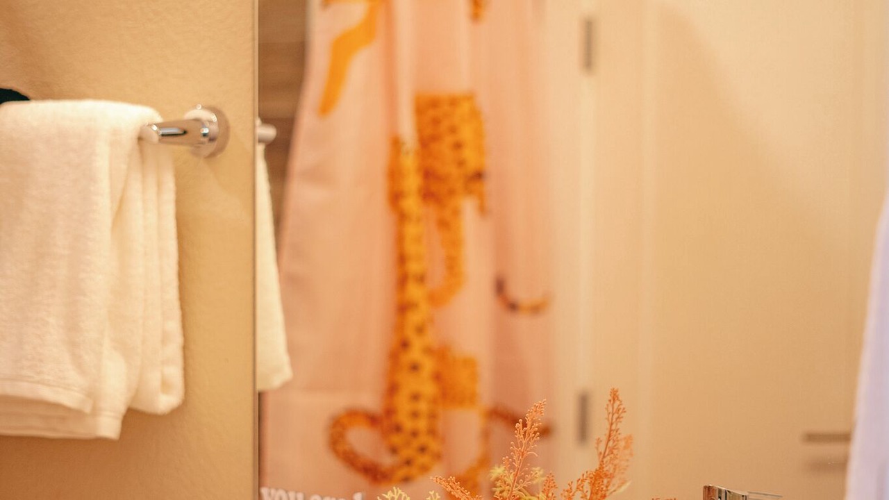Photo of Bathroom in Golden Triangle