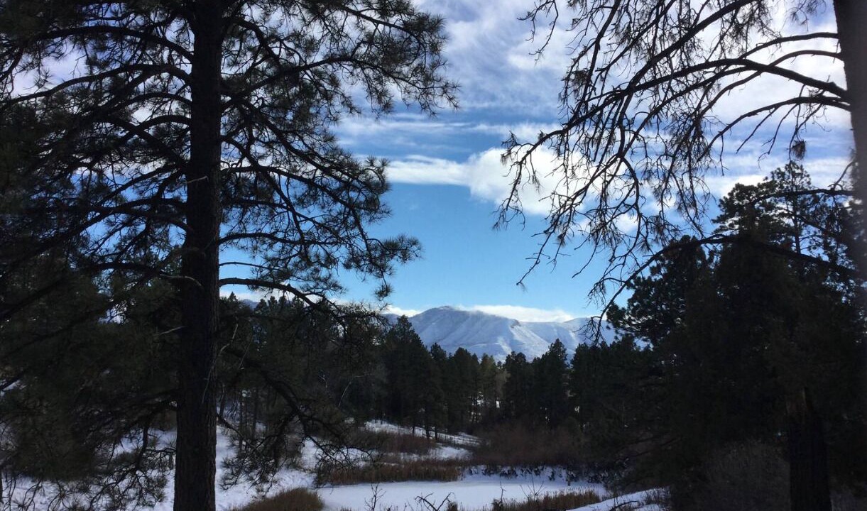 Photo of Others in Mancos