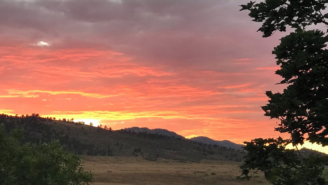 Photo of Others in Fort Collins