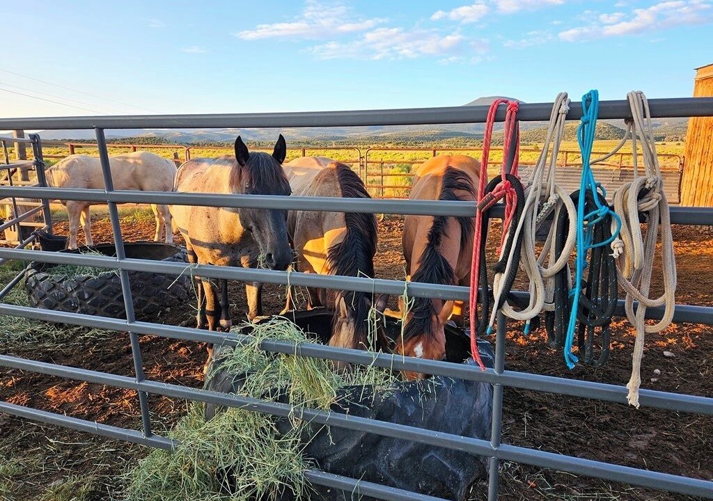 Photo of Others in South Fork