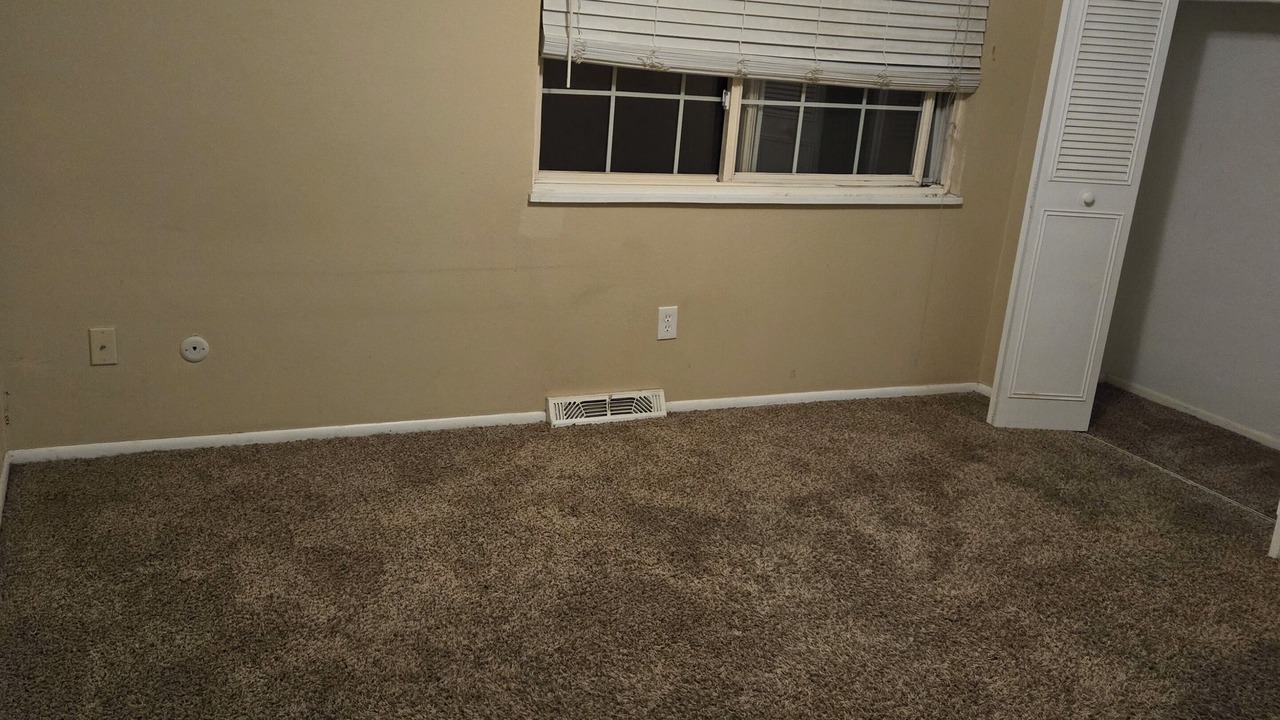 Photo of Others in Hampden South