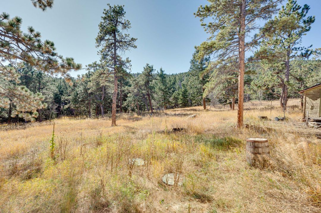 Photo of Others in Coal Creek Canyon