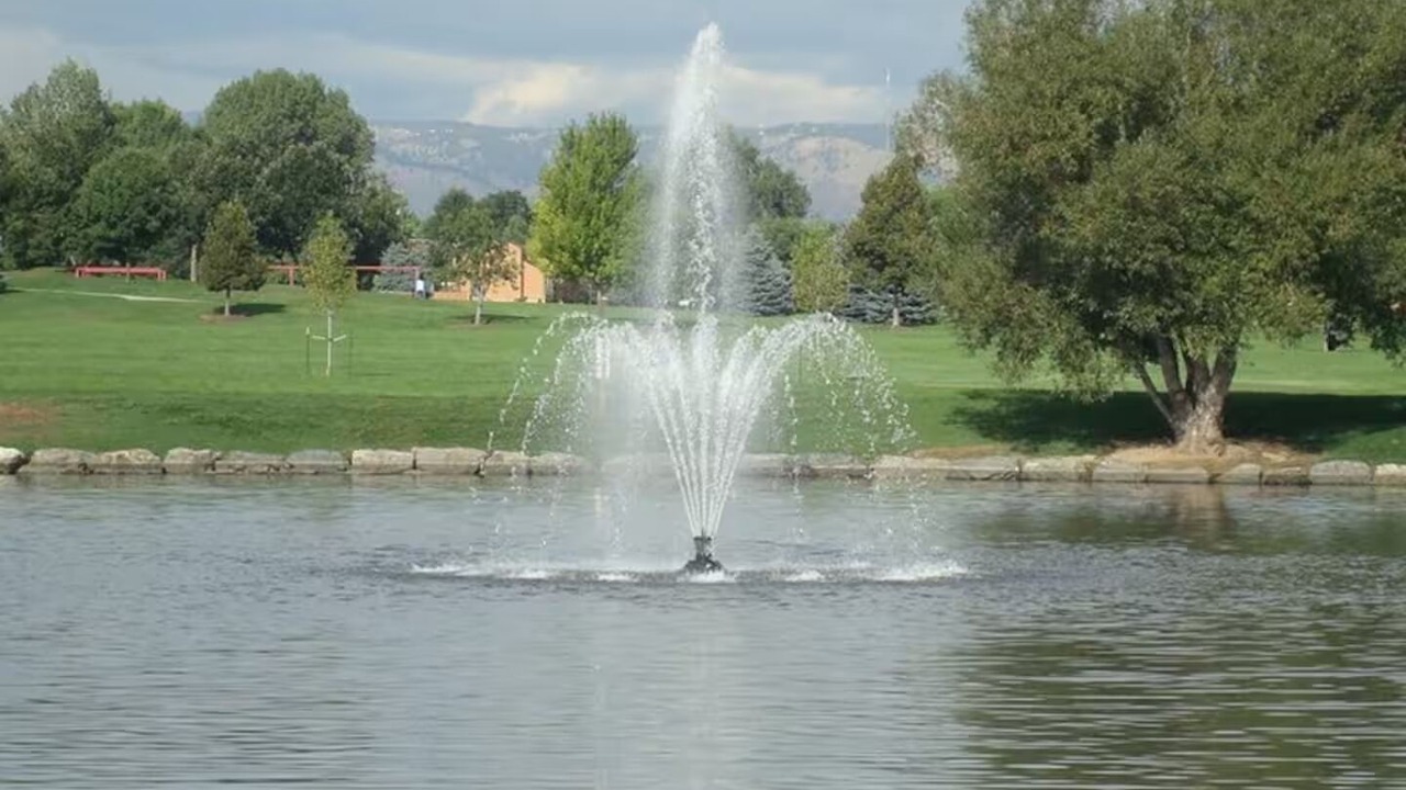 Photo of Others in North Alameda