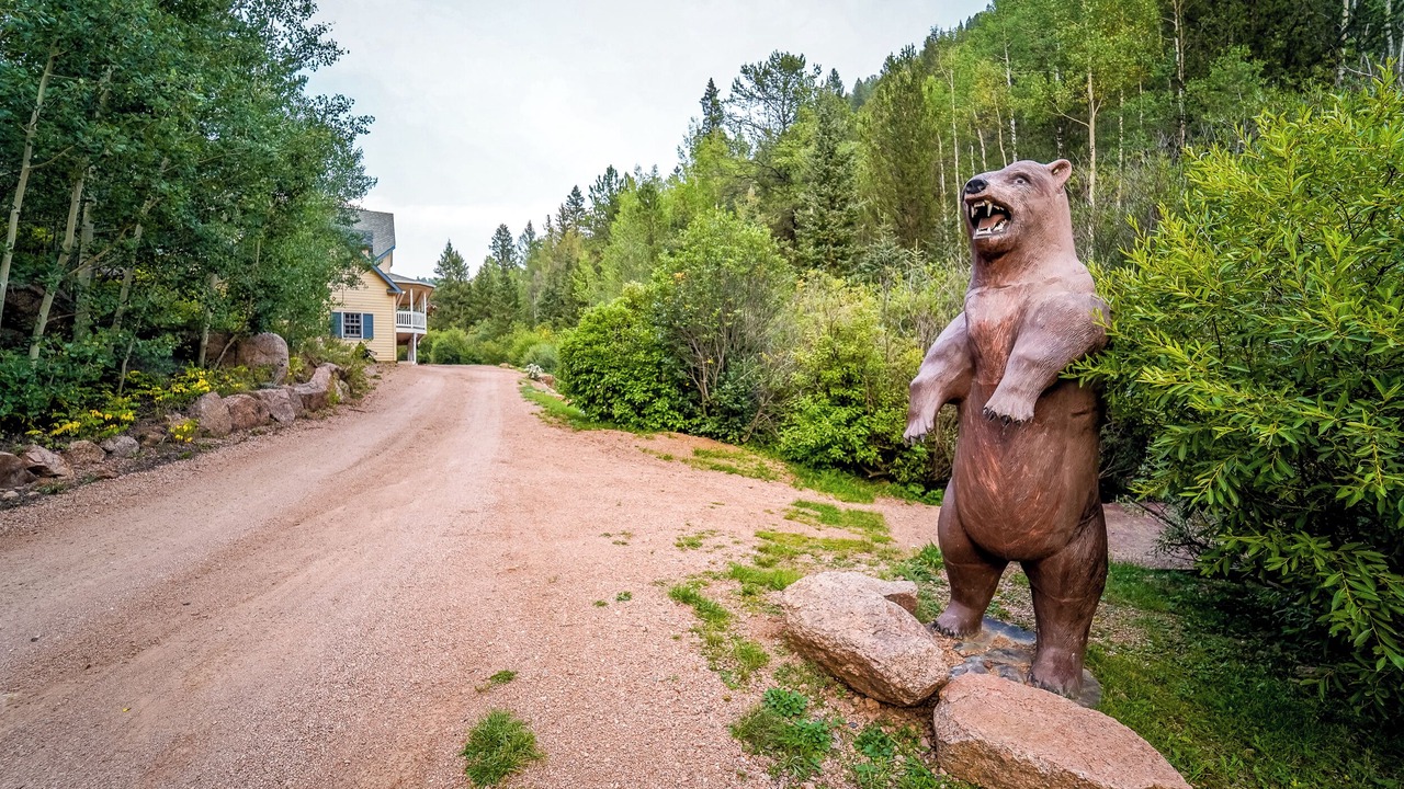 Photo of Outdoor in Divide