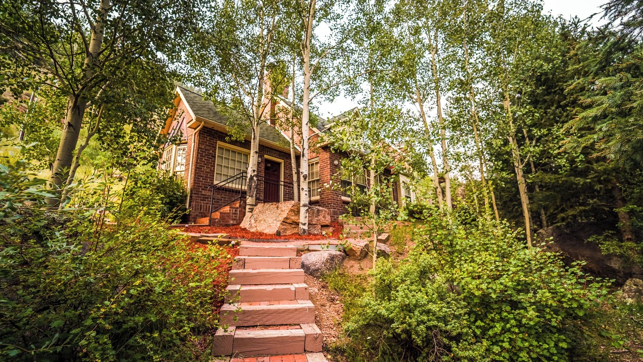 Photo of Outdoor in Divide