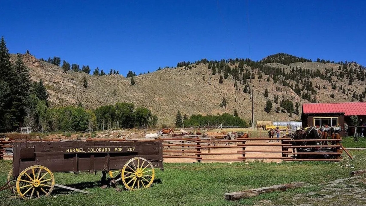 Photo of Others in Almont