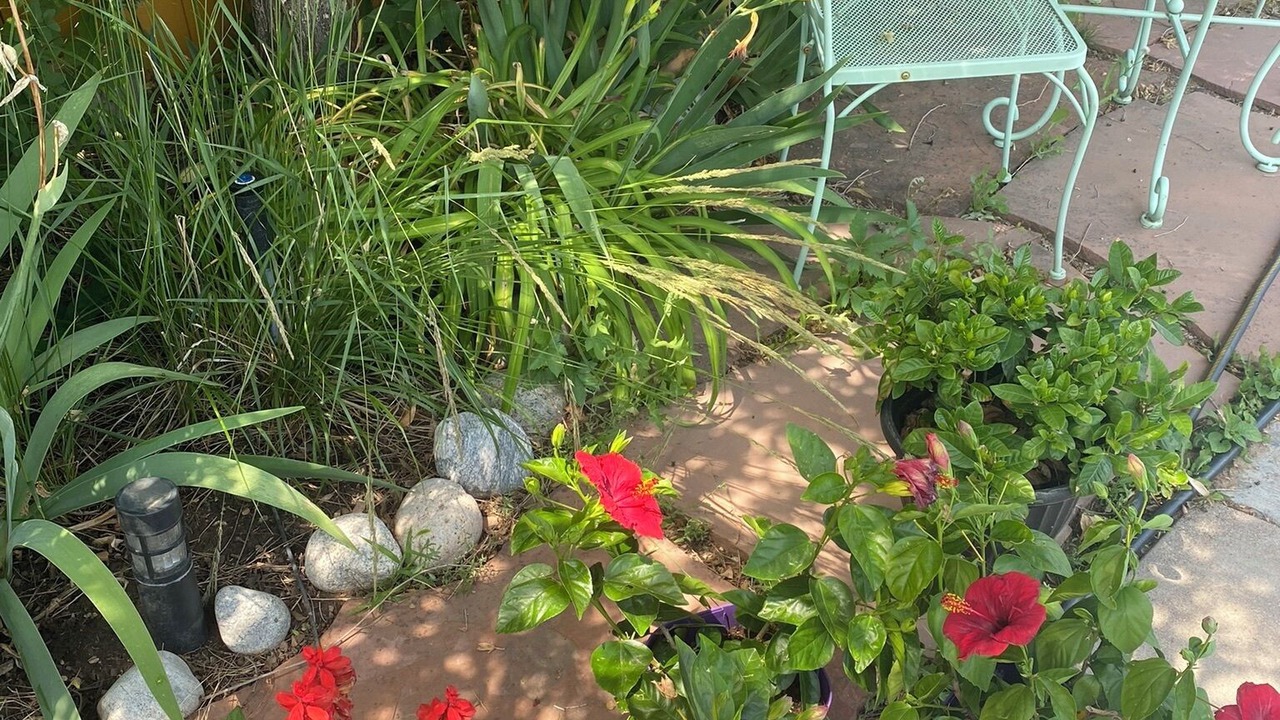Photo of Outdoor in Littleton