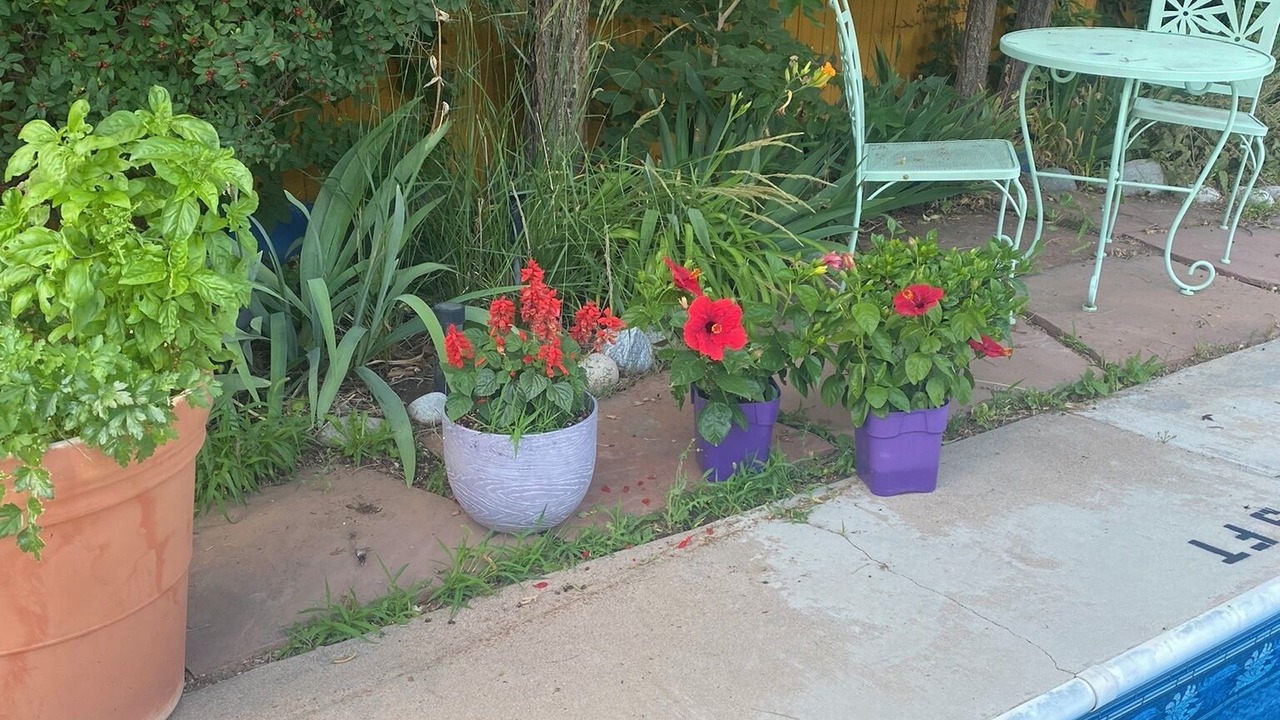 Photo of Outdoor in Littleton