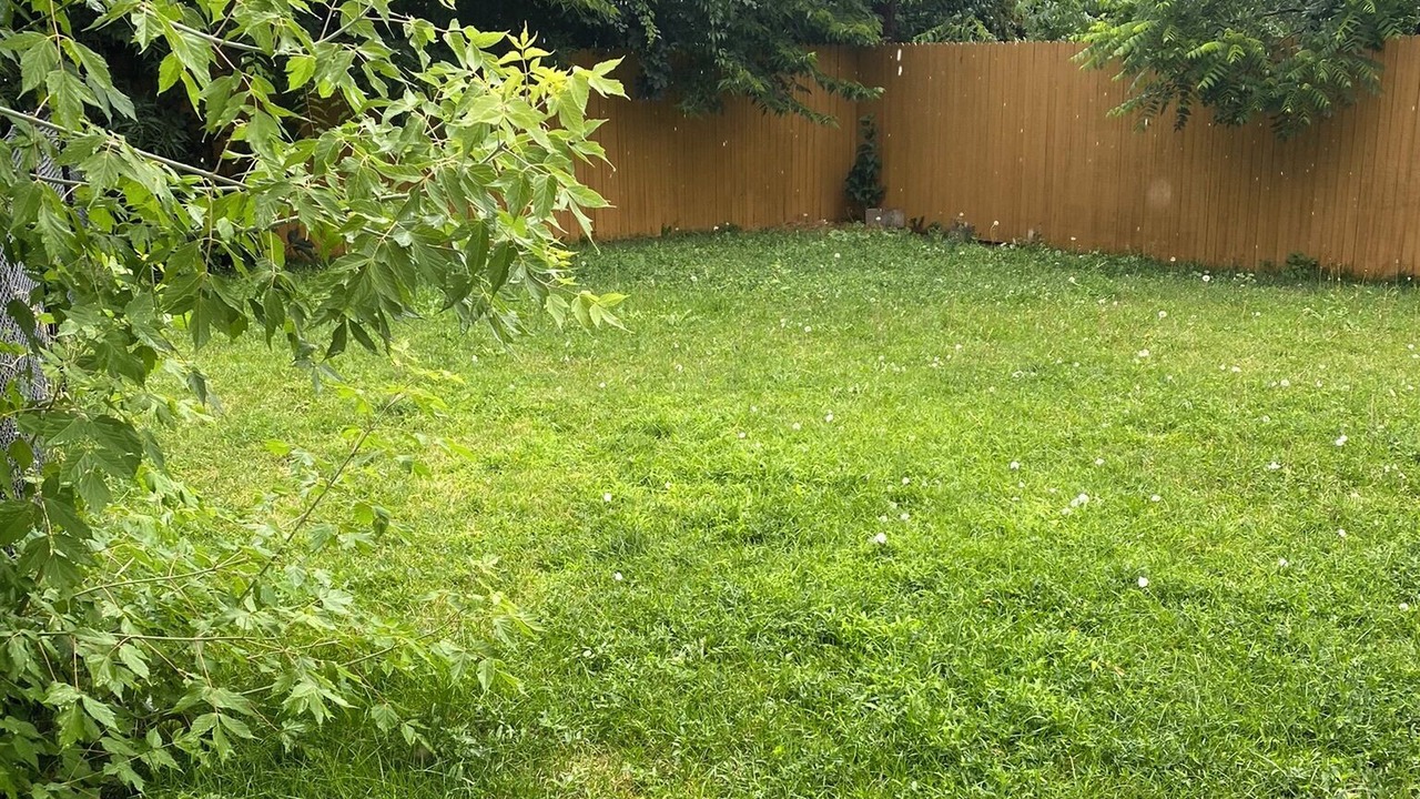 Photo of Outdoor in Littleton