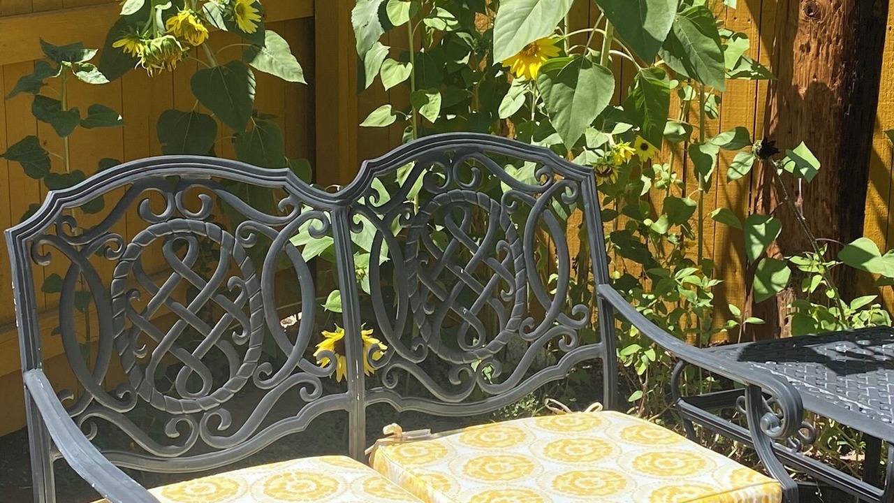 Photo of Patio Balcony in Littleton