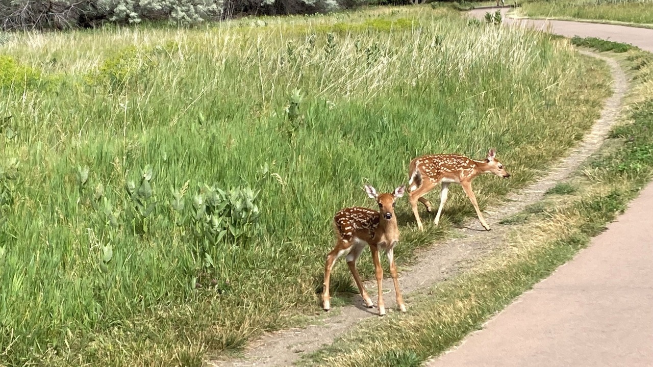 Photo of Others in Fort Collins