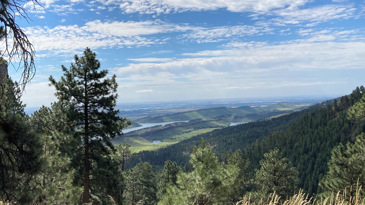 Photo of Others in Fort Collins