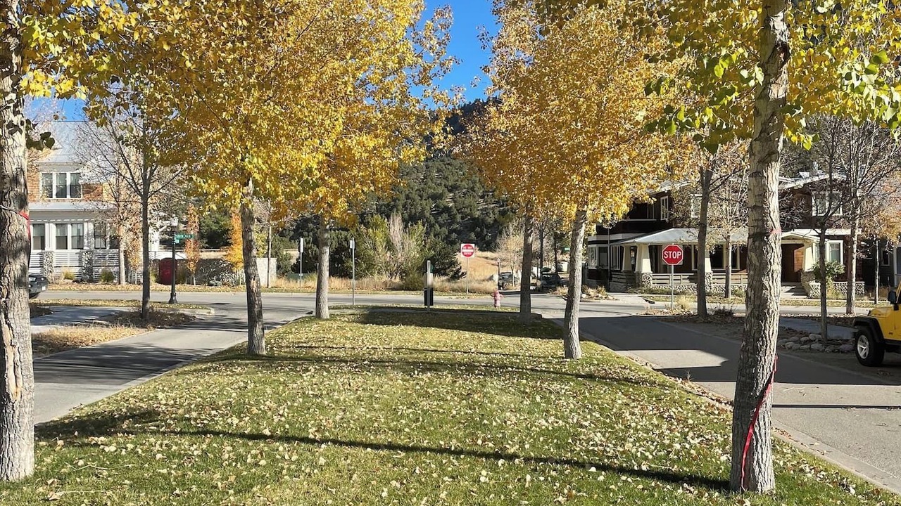 Photo of Others in Buena Vista