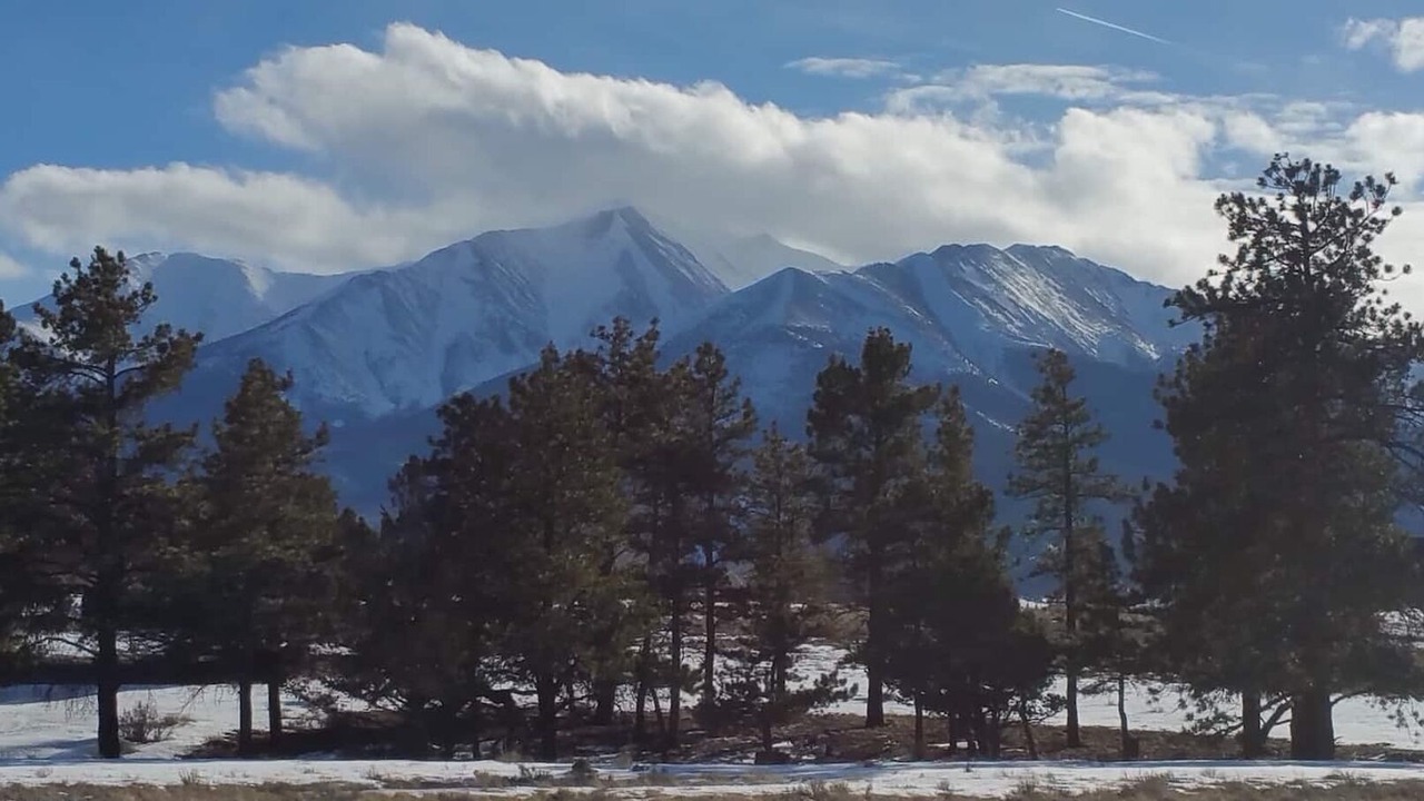 Photo of Others in Buena Vista