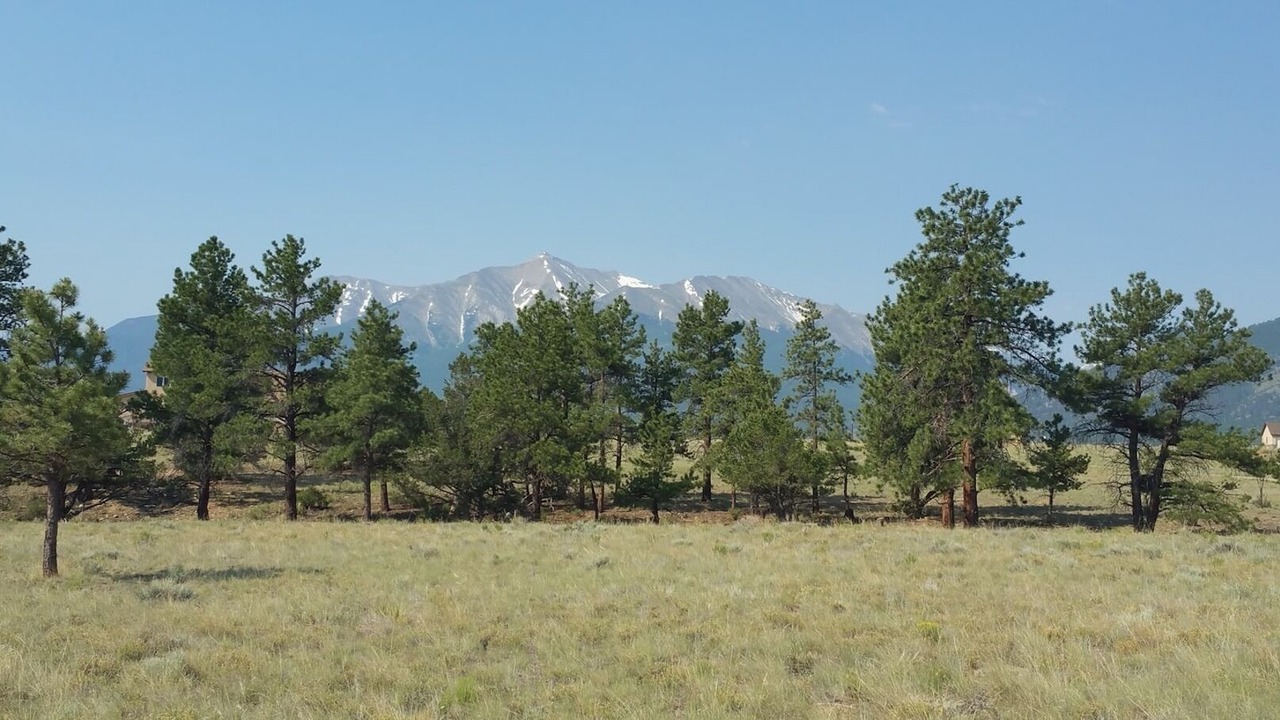 Photo of Others in Buena Vista