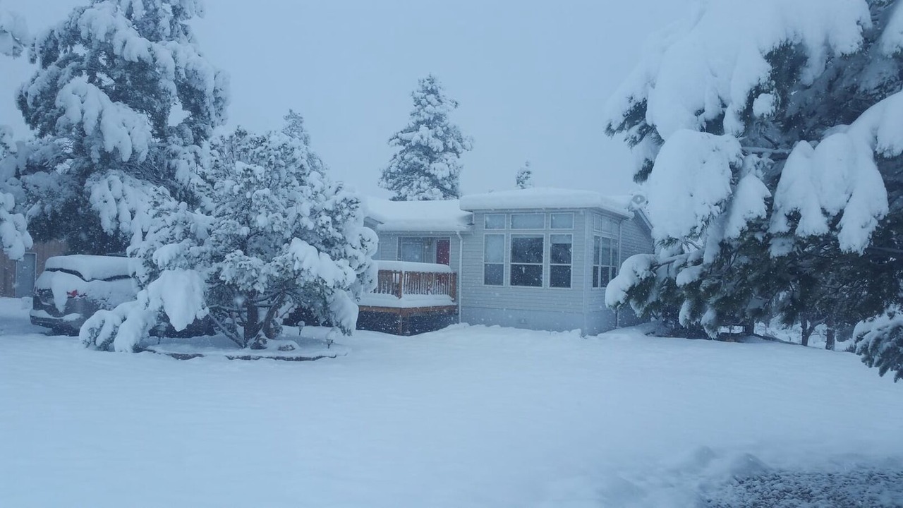 Photo of Others in Buena Vista