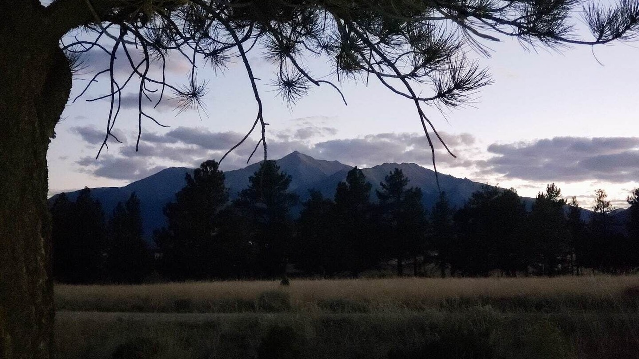Photo of Others in Buena Vista