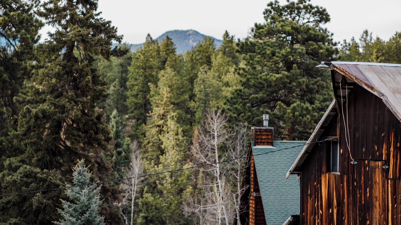 Photo of Outdoor in Pine