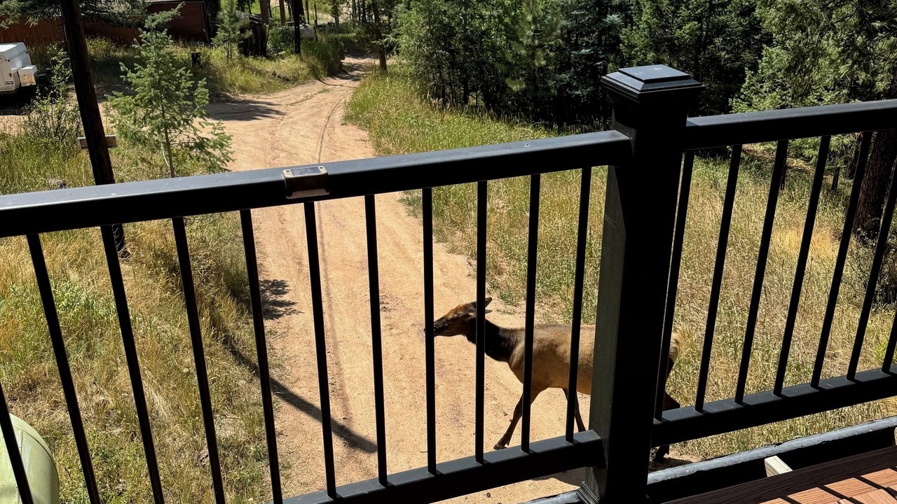 Photo of Outdoor in Evergreen