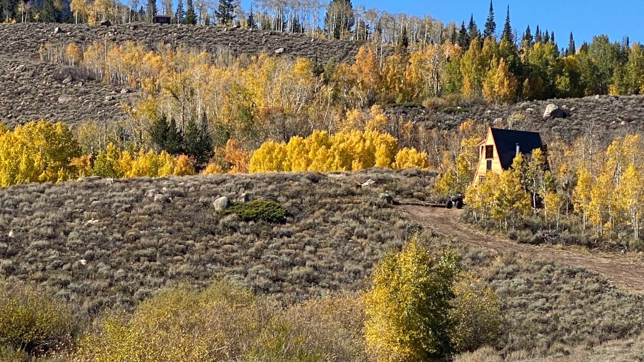 Photo of Others in Walden