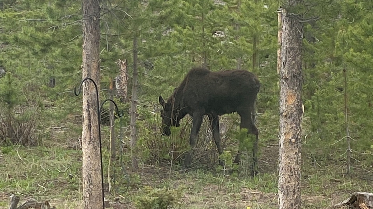 Photo of Others in Grand Lake