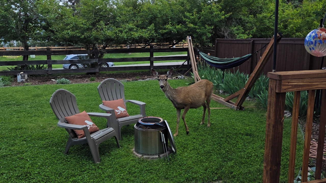 Photo of Outdoor in Littleton