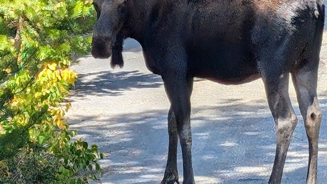 Photo of Others in Grand View Highlands
