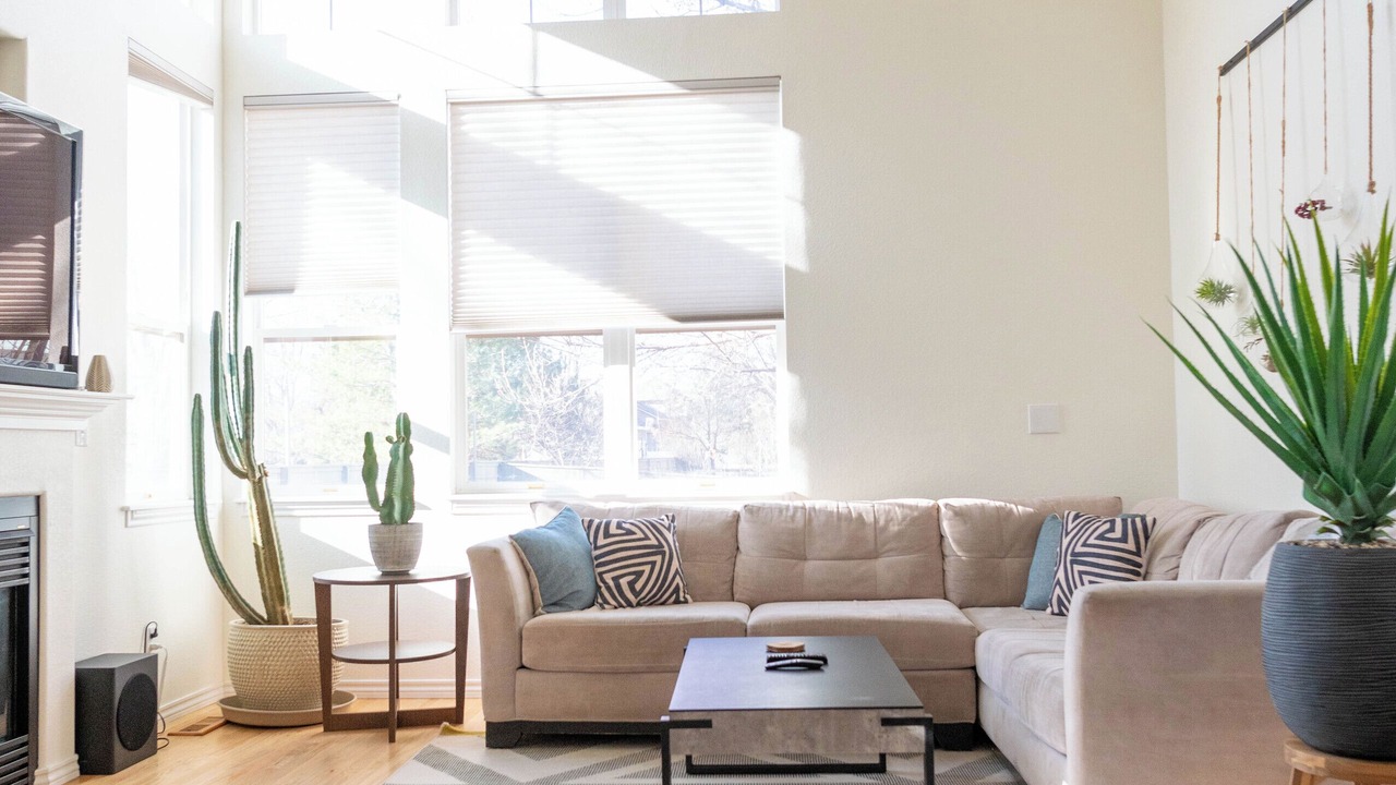 Photo of Livingroom in Longmont