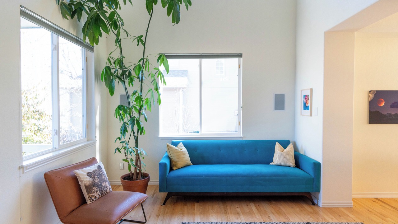 Photo of Livingroom in Longmont