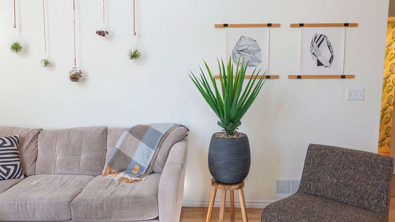 Photo of Livingroom in Longmont