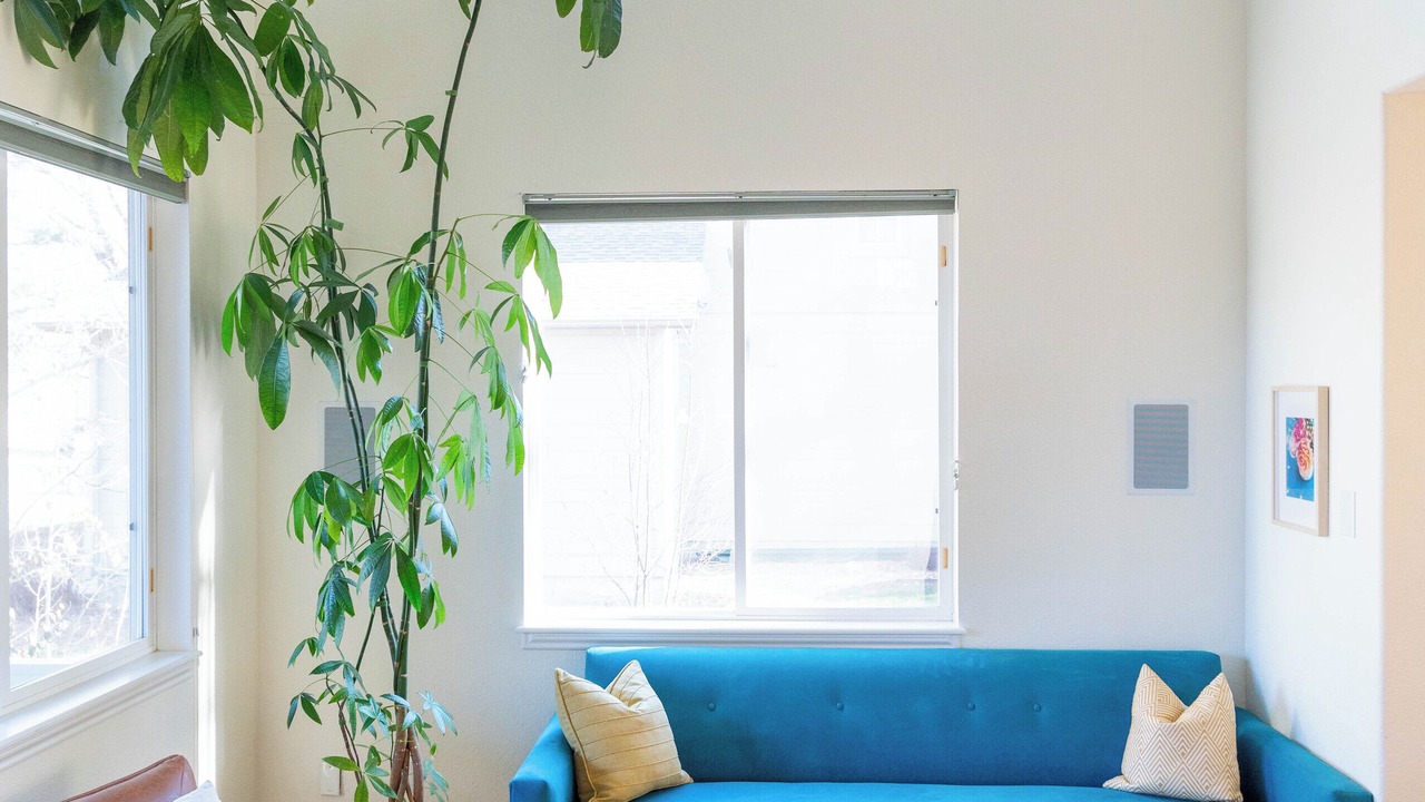 Photo of Livingroom in Longmont